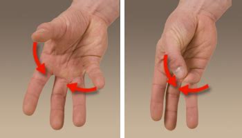 Opposition of the index finger and thumb of the human hand. The two faces, parallel to the finger tip, can only meet due to the rotation of the most distal phalanx of the index finger during flexion.